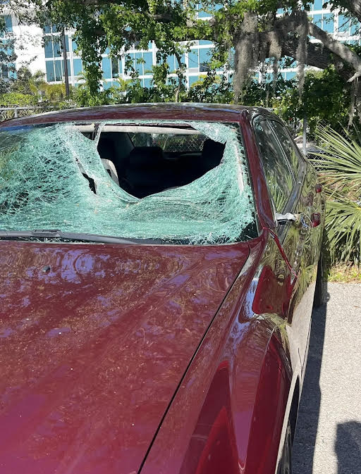 Toyota Sienna (wheelchair van) before